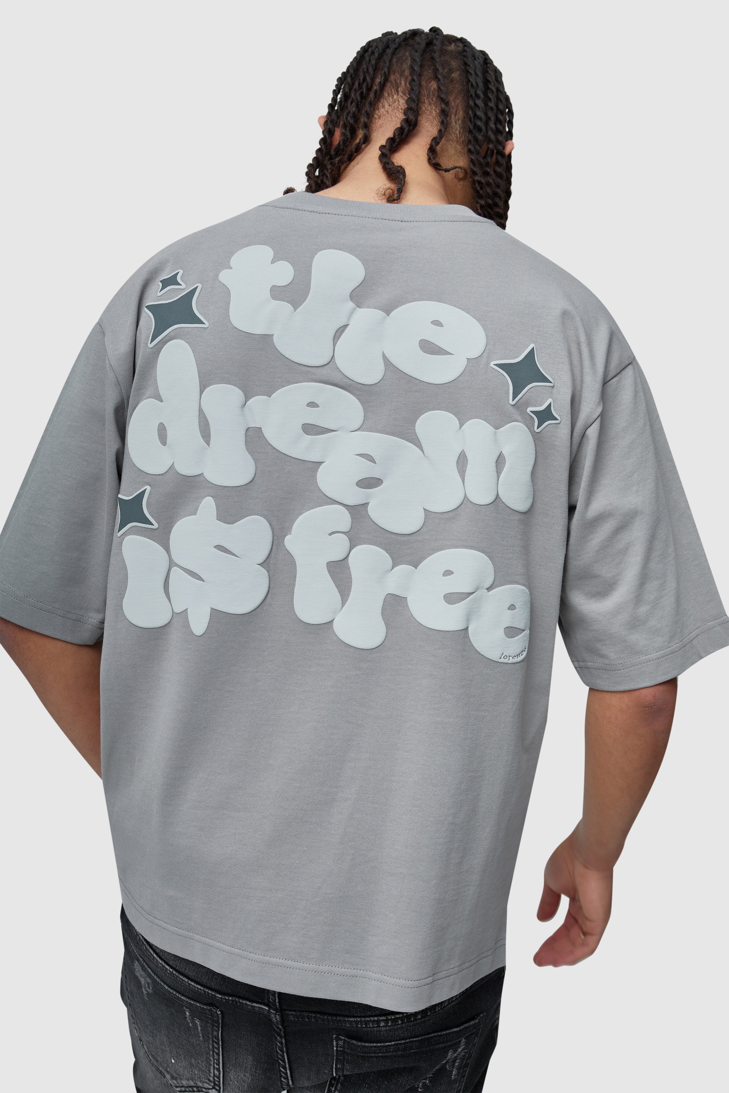 Dream Is Free 2.0 Tee - Grey - Image 4