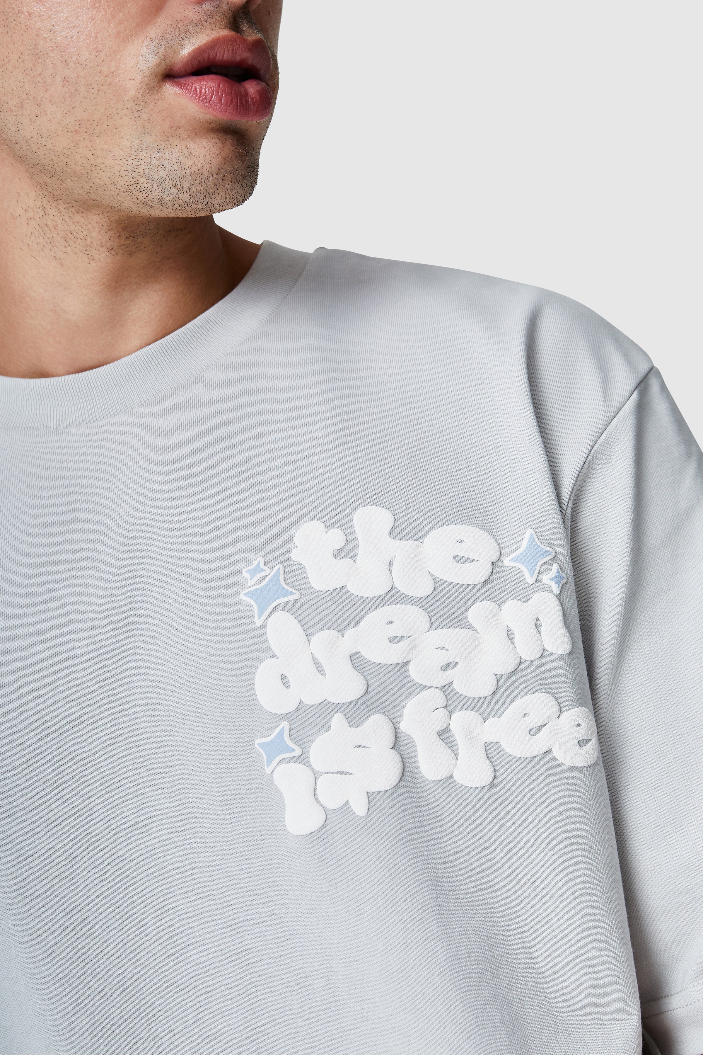 Dream Is Free 2.0 Tee - Light Grey - Image 5